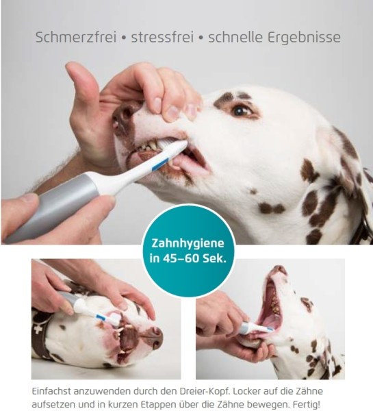 CleanyTeeth für Hunde - Starter-Kit