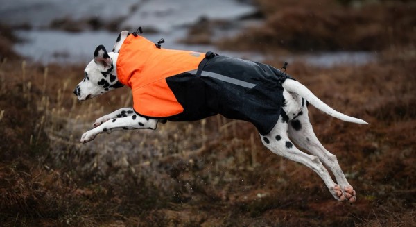 Hundemantel- Fjord raincoat 2.0