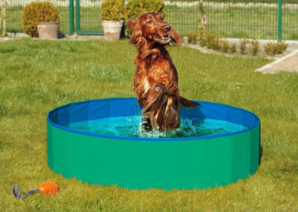 Karlie - Doggy Pool ø: 120 cm grün-blau