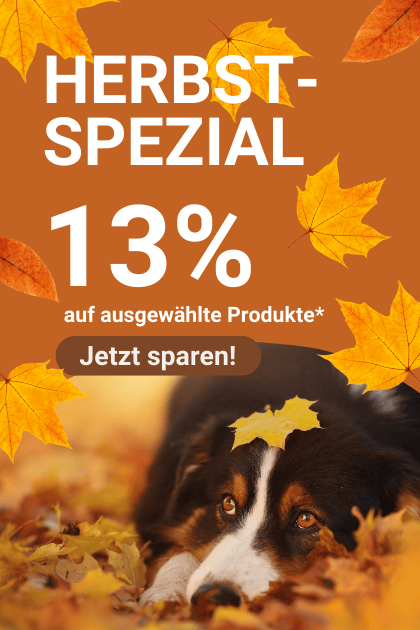 media/image/Homepage-Header-Mobile-Herbst-Spezial-560-x-270-px.png
