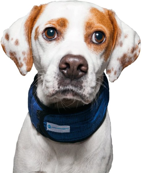 Aqua Coolkeeper Kühlendes Halsband für Hunde