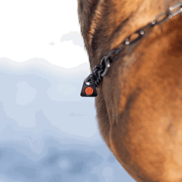 Sprenger - Halskette mit Zugbegrenzung - Edelstahl Rostfrei schwarz, 2,0 mm