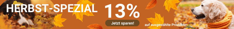 Planschen,Toben, Abkühlen