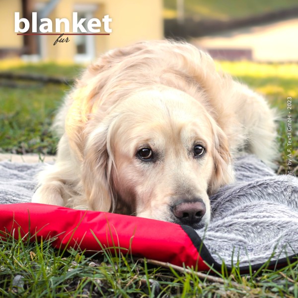 ActionFactory - Blanket Fur