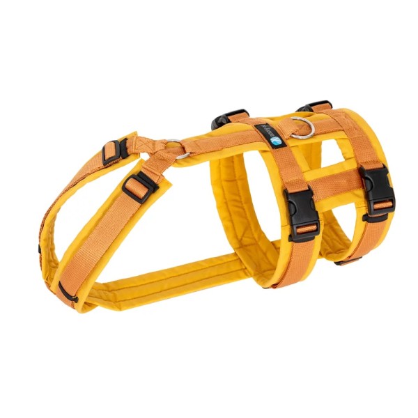 annyx - Brustgeschirr Safety limited Edition Goldglöckchen_L