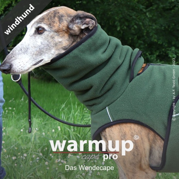 actionfactory - WARMUP© cape PRO Windhund Pine Green