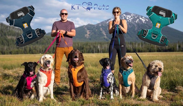 Kurgo RSG Erste Hilfe Set für Hunde ab 25,99 €