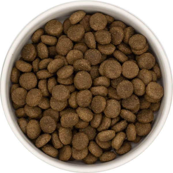 napf-lamm-fuer-hunde