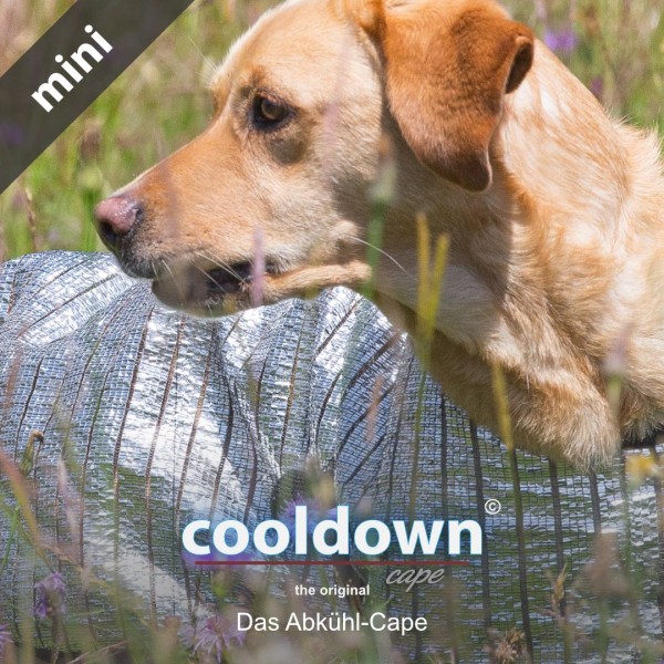 actionfactory - Cooldown Cape