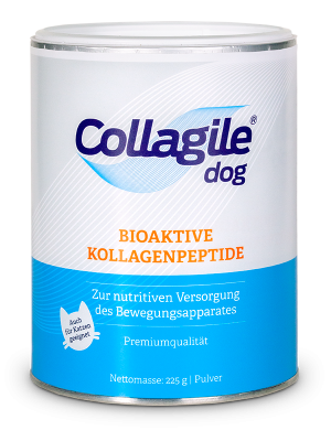 Hundefutter zum Zunehmen: Inhaltsstoffe | KT-Pets