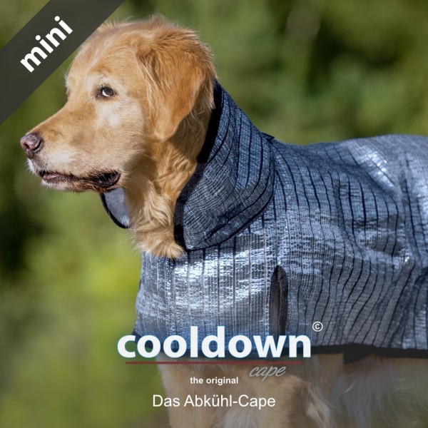 actionfactory - Cooldown Cape Mini - new Features