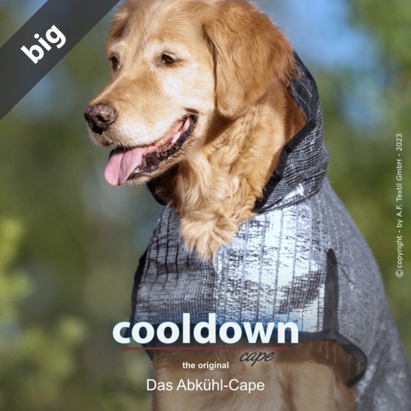 actionfactory - Cooldown Cape Big - new Features