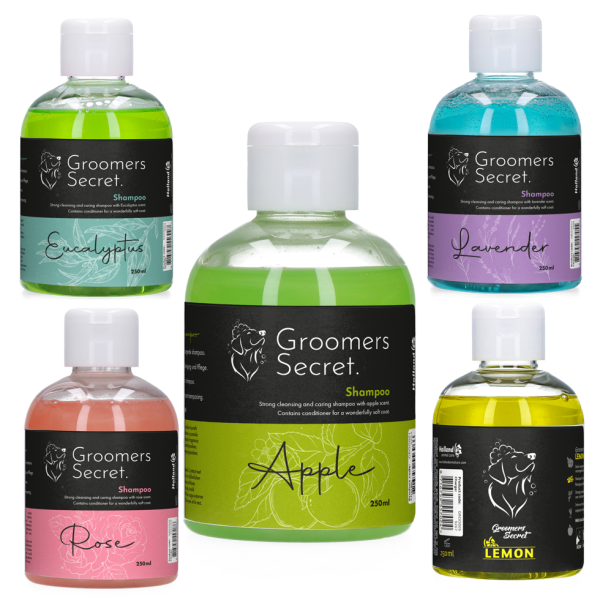 Groomers - Secret Shampoo
