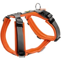 Hunter - Geschirr Maldon XS Orange / Grau